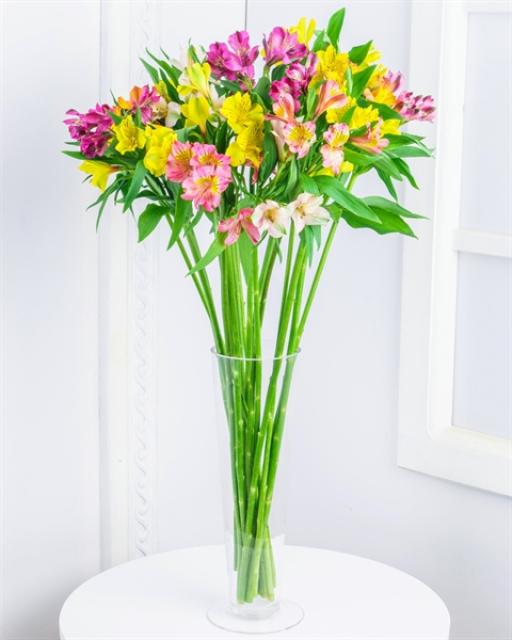 Alstroemeria (min. order 6930 Ft)