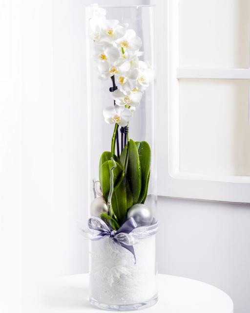 Modern karácsonyi virágtál orchideával