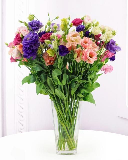 Lisianthus (min. order 9500 Ft)