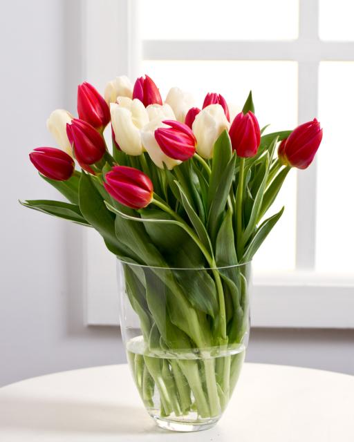Fehér és piros tulipáncsokor