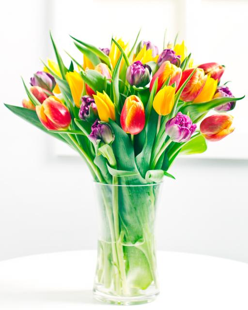 Színes tulipáncsokor