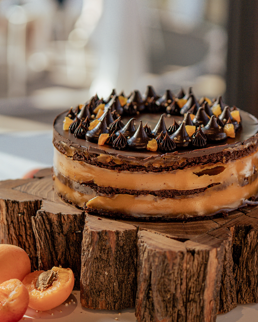 Dark chocolate, rum, apricot cake (vegan)