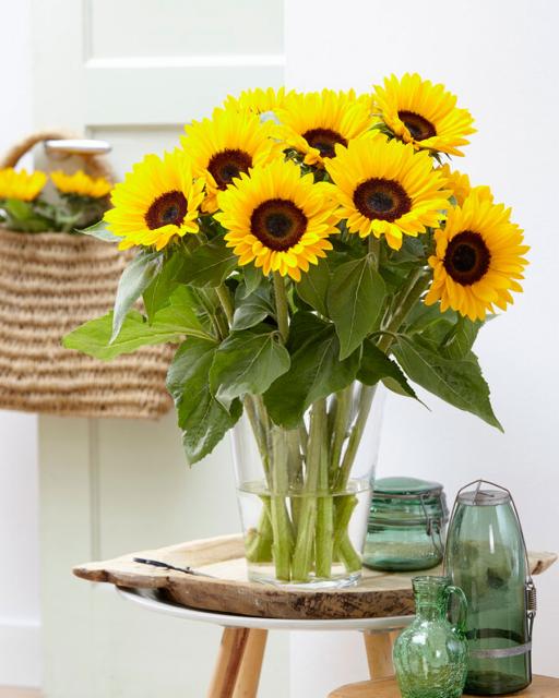 Sunflowers (min. order 9500 Ft)