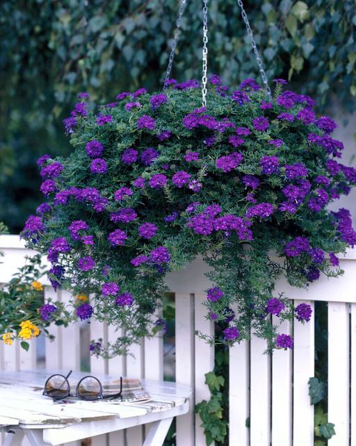 Hanging flower basket