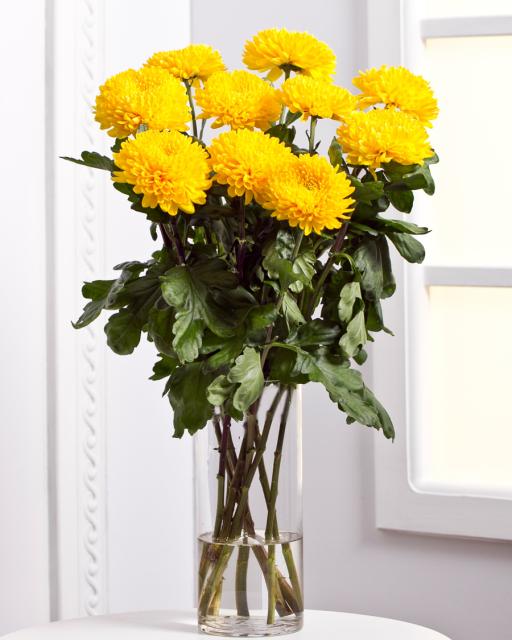 Chrysanthemums (min. order 6500 Ft)