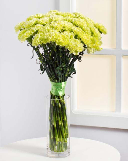 Carnations (min. order 5390 Ft)